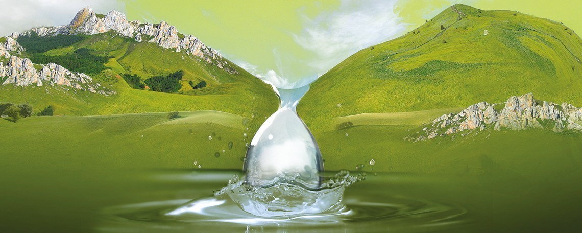 Organisationstalent gesucht!, 1. Bild